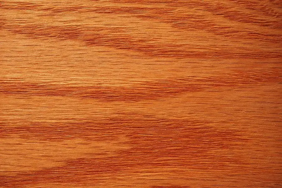 Gỗ sồi đỏ trong Tiếng Anh có tên khoa học là Red Oak