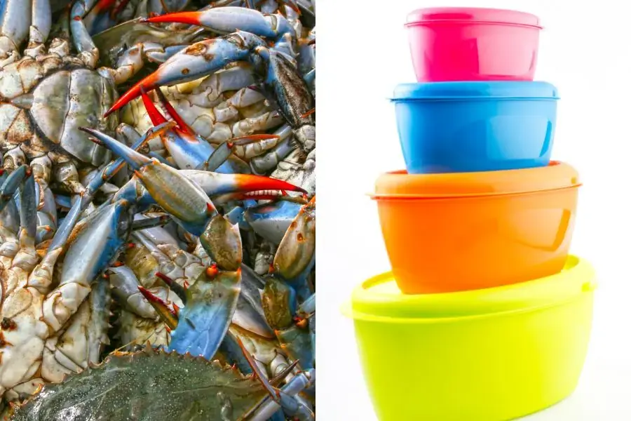 Bảo quản ghẹ sống vào hộp đựng thực phẩm và để trong ngăn đá tủ lạnh