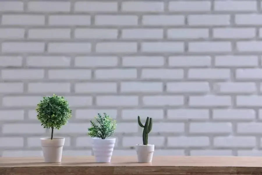 Những loài cây nhỏ nhắn cũng là lựa chọn hợp lý cho phòng tắm