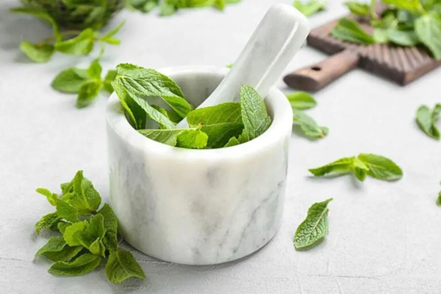Nghiền lá bạc hà