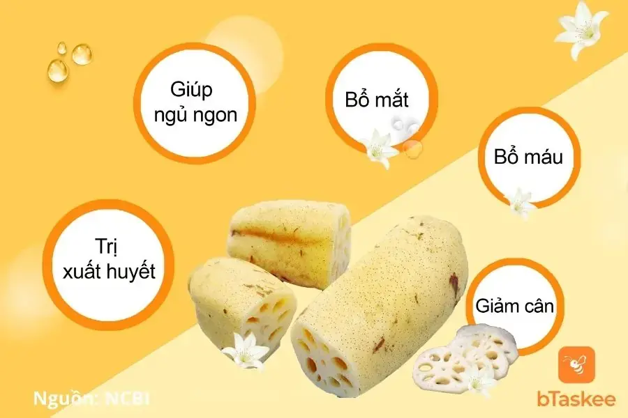 Công dụng của củ sen