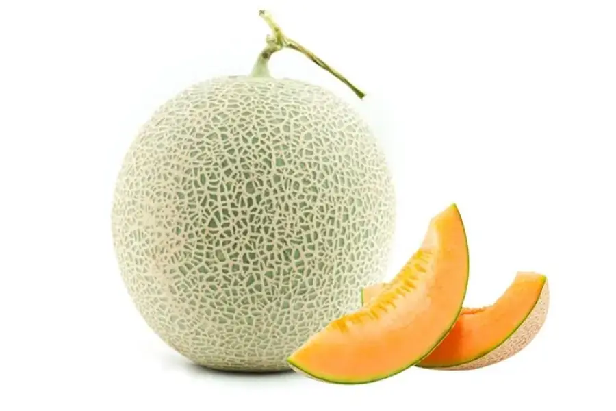 Vân dưa lưới