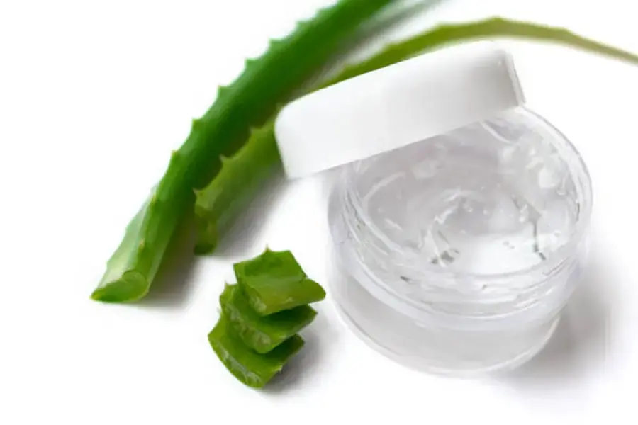 Cách bảo quản gel nha đam