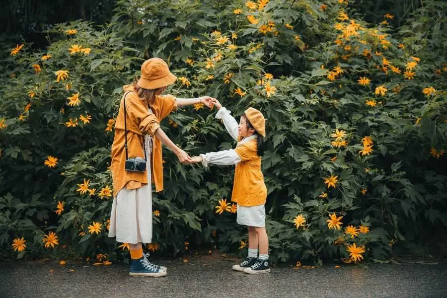 Tháng 10 - mùa hoa Dã quỳ nở rộ.