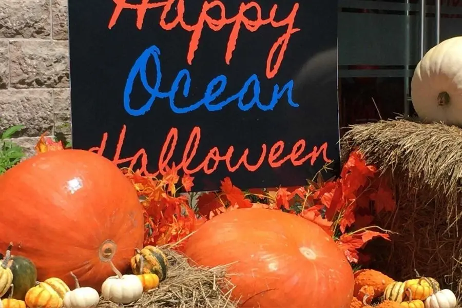 Sử dụng rơm rạ để trang trí Halloween.