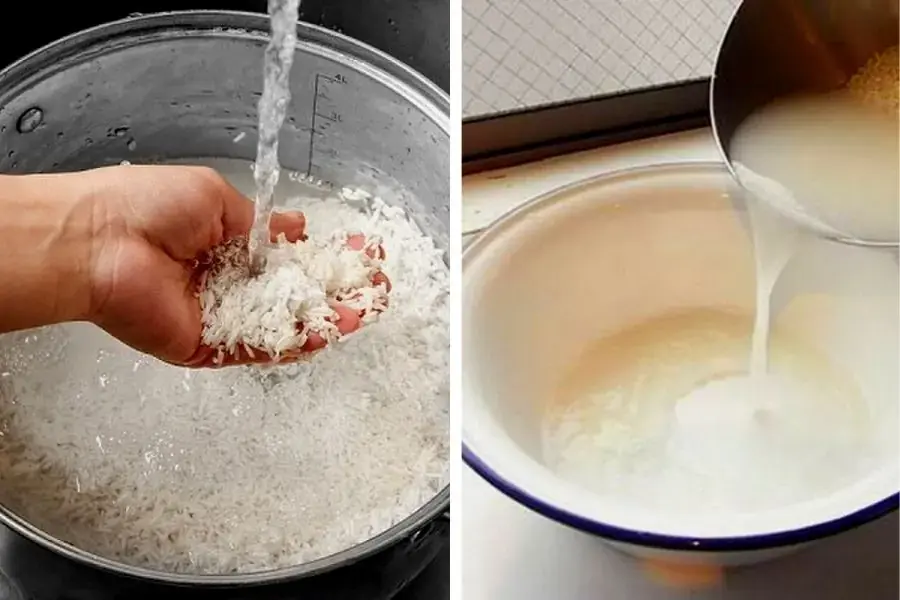 Vo gạo để nấu sữa