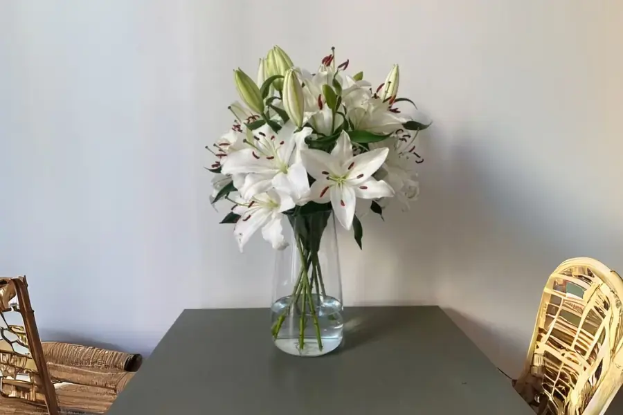 Nên thay nước thường xuyên cho hoa.