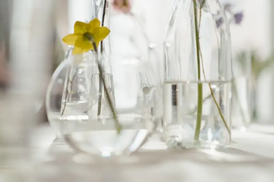 Nước cần được thay thường xuyên để giữ độ tươi cho hoa (Hình ảnh: Pexels)