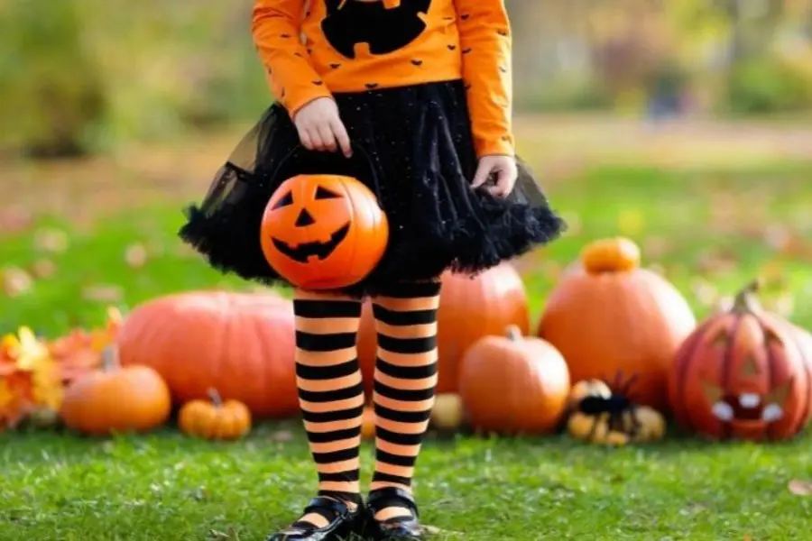 Túi xách bí ngô Halloween vô cùng mới lạ.