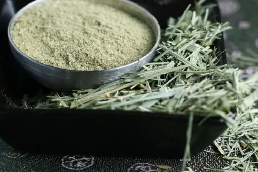 Sả được xay nhuyễn (2)