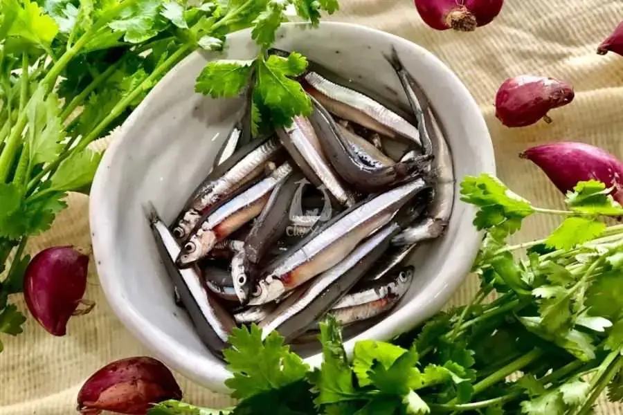 Cá cơm tươi sau khi phơi khô chế biến thành rất nhiều món ngon và dinh dưỡng