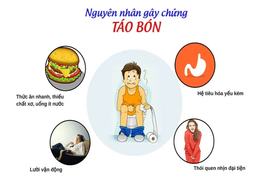 Các nguyên nhân gây táo bón: lười vận động, thức ăn nhanh, thiếu chất xơ