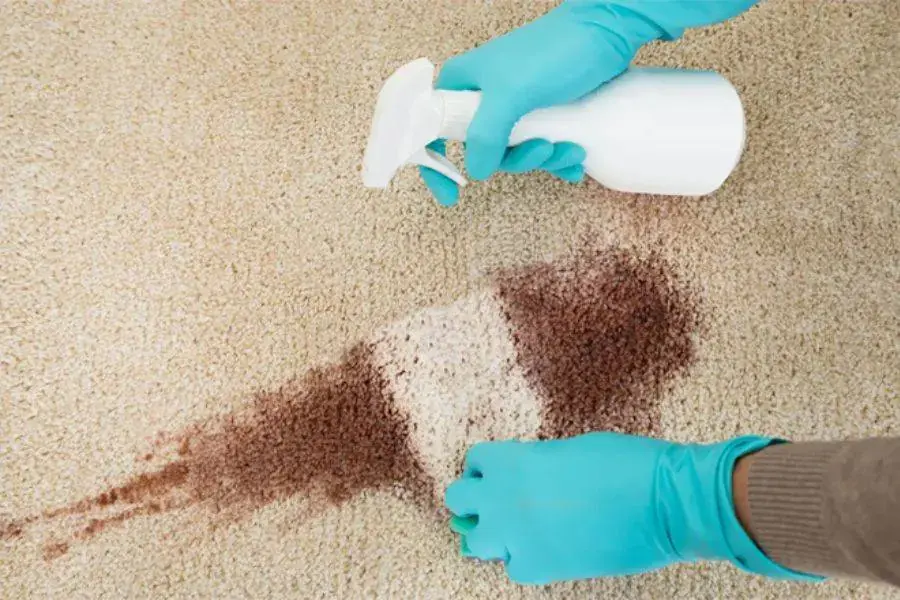 Dùng baking soda để loại bỏ vết bẩn lâu ngày bám trên thảm 