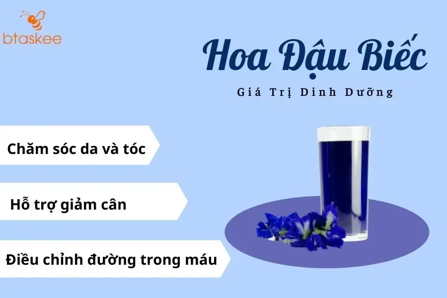 Công dụng của hoa đậu biếc tốt cho sức khỏe