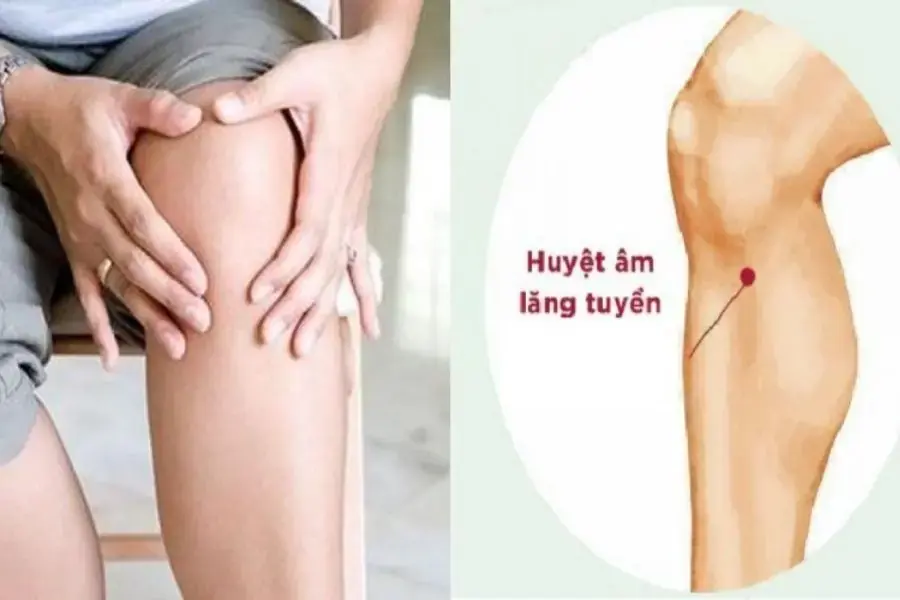 Huyệt âm lăng tuyền ở đầu gối ( nguồn: internet)
