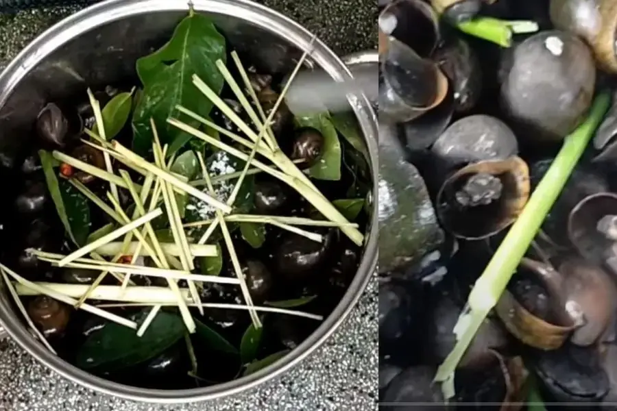 Chế biến ốc luộc ngon không nhớt không tanh giòn ngon