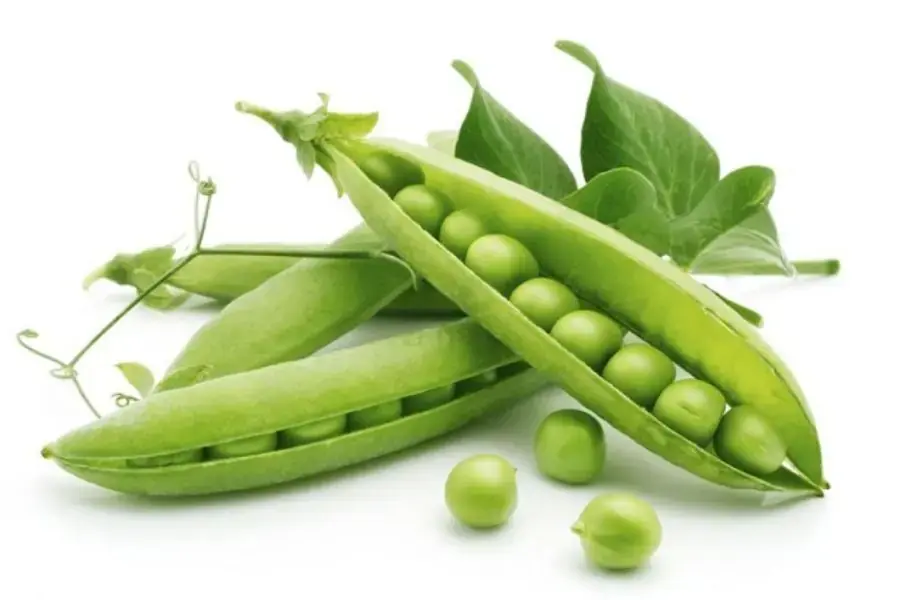 Những món có chữ “đậu” sẽ vô cùng hiệu nghiệm để bạn đạt được điểm số cao