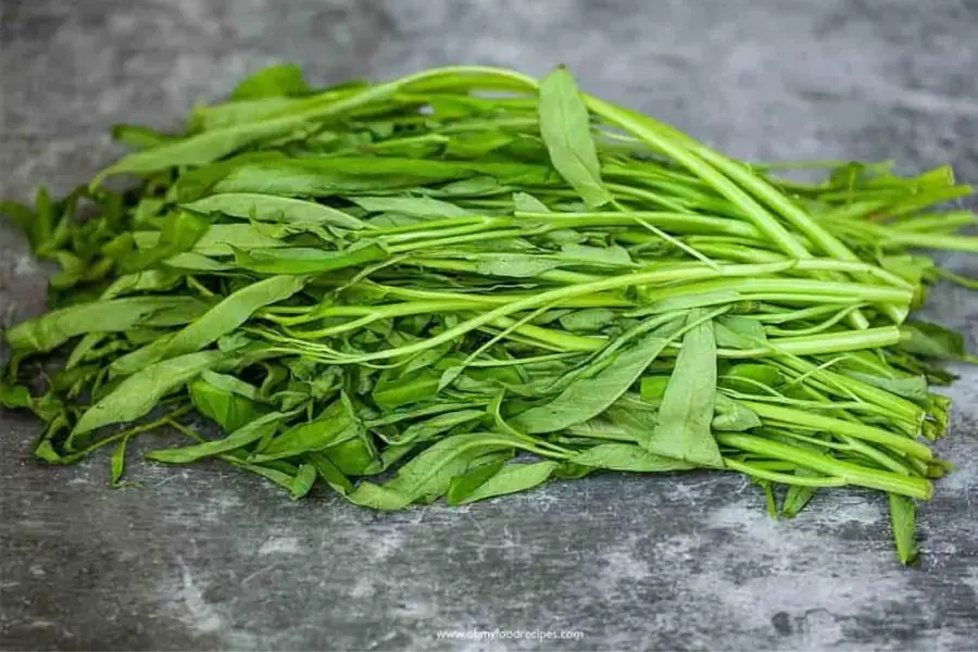 Xếp rau muống thành đống hình tròn để ủ
