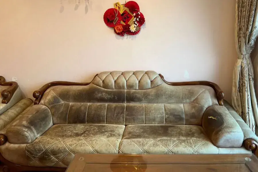Nấm mốc là nguyên nhân gây lên mùi hôi trên ghế sofa 