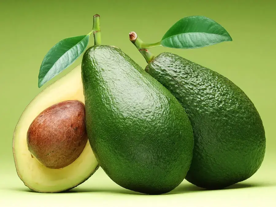 Quả bơ cung cấp nhiều chất dinh dưỡng cho cơ thể (nguồn: thanhuyenfruit.com)