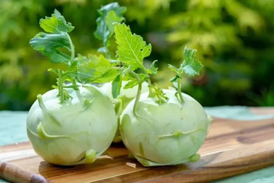 Hình dáng su hào