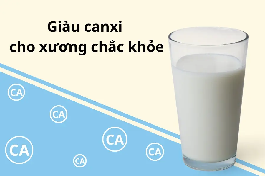 Nguồn cung cấp canxi phổ biến cho cơ thể.