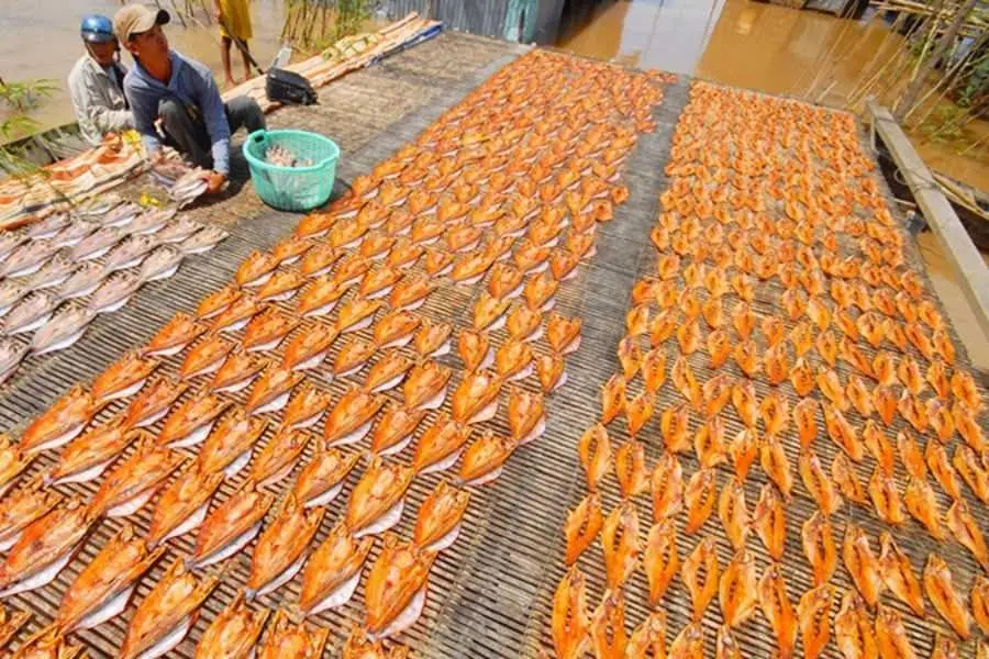 Lựa chọn khô cá lóc có màu sắc tươi tắn và thịt chắc.