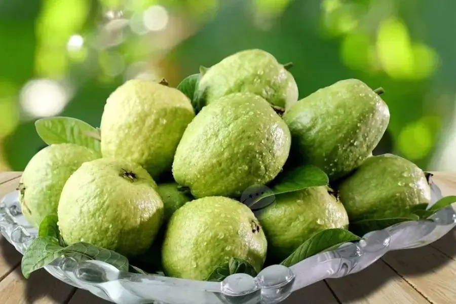 Cắt ổi thành những miếng nhỏ để vừa máy ép