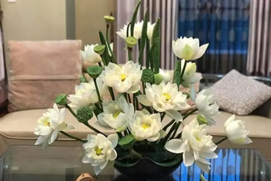 Cắm hoa sen trang trí phòng khách sang trọng.