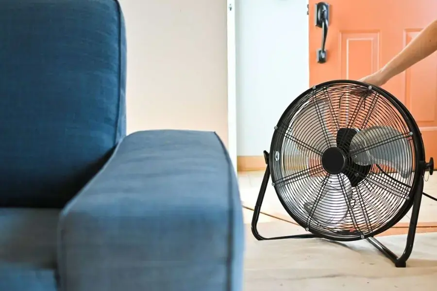 Dùng quạt làm khô ghế sofa trước khi sử dụng tránh các bệnh về da