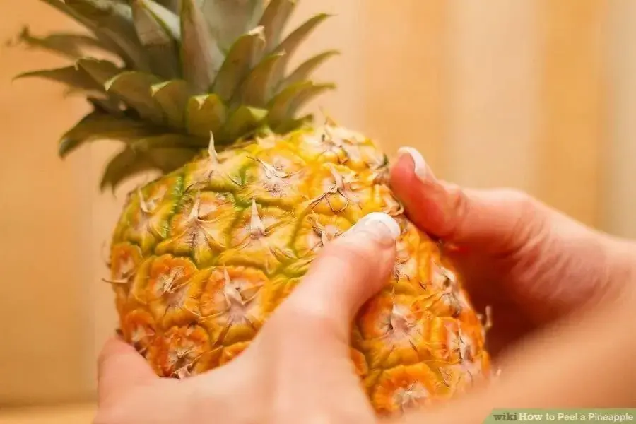Sờ nắn quả dứa