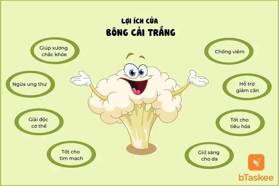 Lợi ích của bông cải trắng