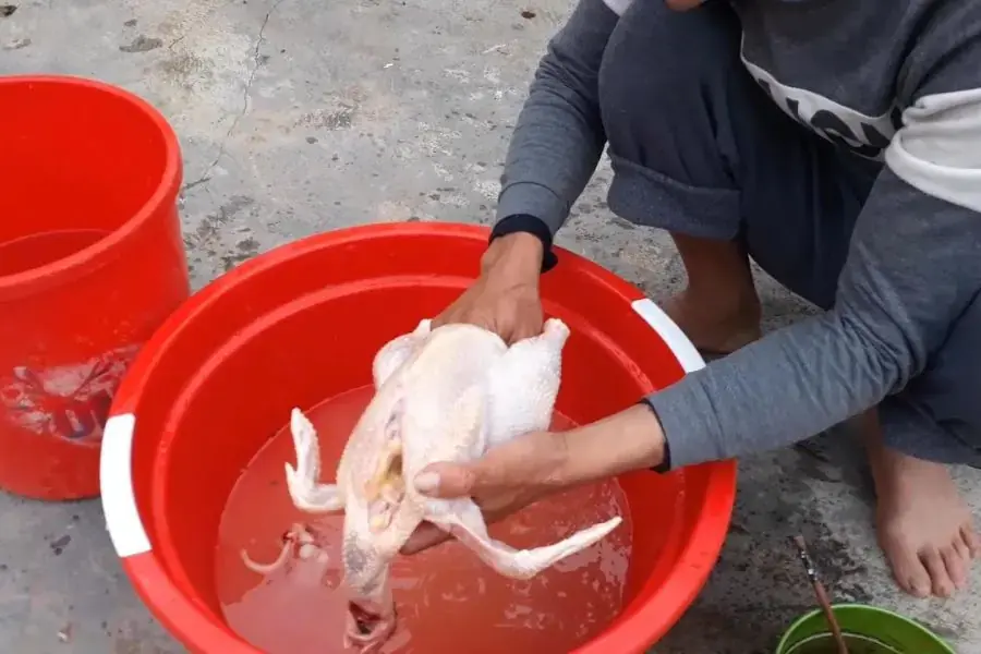 Cách mổ gà moi nguyên con đẹp mắt