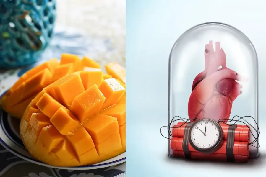 Hàm lượng chất xơ giúp loại bỏ các cholesterol xấu có trong máu.