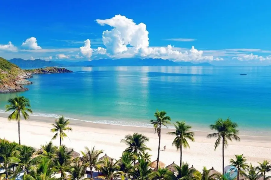 Biển Mỹ Khê xanh mướt, đốn tim mọi du khách.