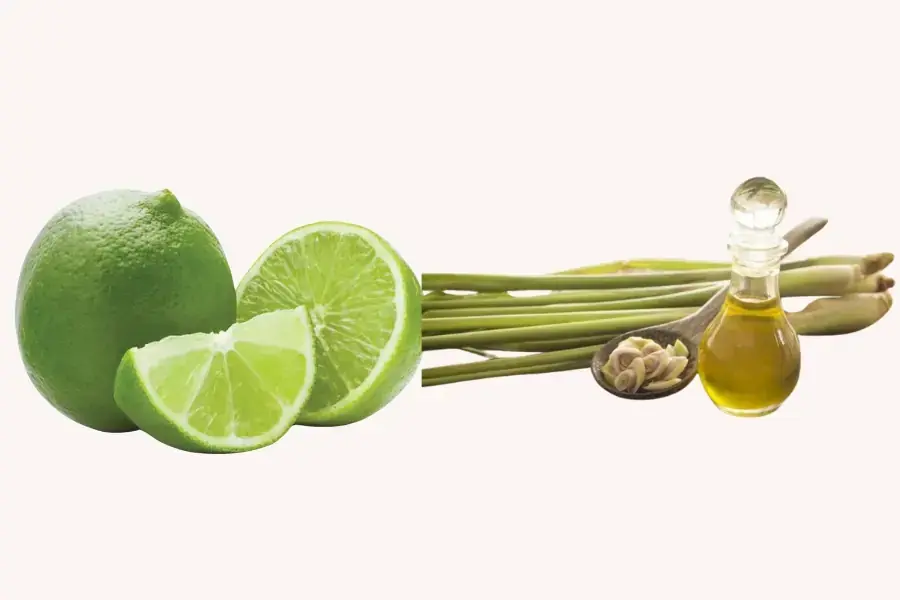 Chanh tươi và tinh dầu sả mang lại hương thơm dịu nhẹ và độ tẩy rửa trung bình.