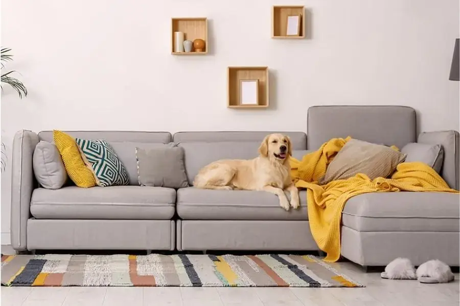 Tùy vào mục đích sử dụng mà bạn hãy đưa ra lựa chọn ghế sofa thích hợp nhé (6)