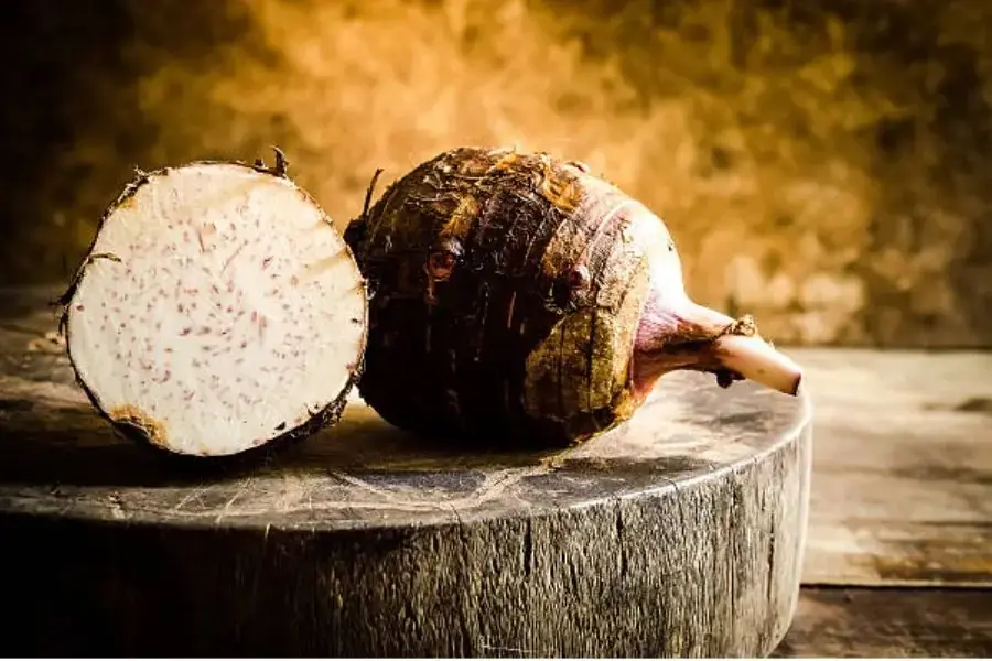 Củ khoai môn chứa các hợp chất polyphenol có khả năng giảm nguy cơ ung thư.