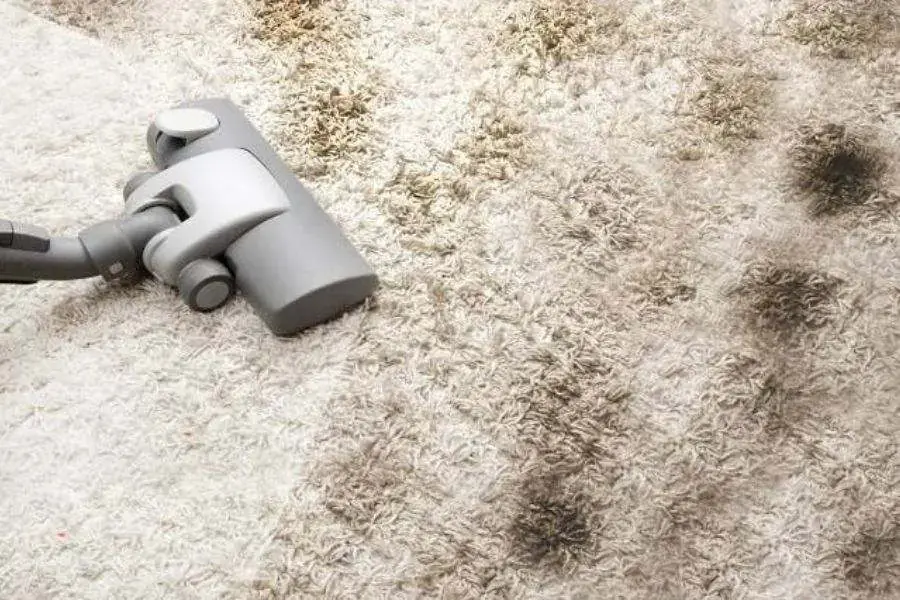 Dùng baking soda để ngăn chặn sự phát triển của nấm mốc và vi khuẩn