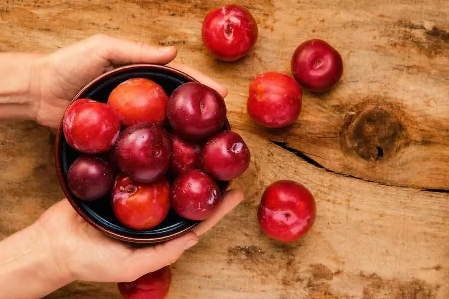 Ăn mận Bắc có thể giảm cân vì chứa lượng calo thấp.