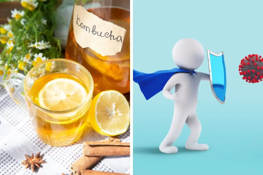 Trà Kombucha giúp cơ thể bổ sung các chất chống oxy hóa, tăng cường sức đề kháng.