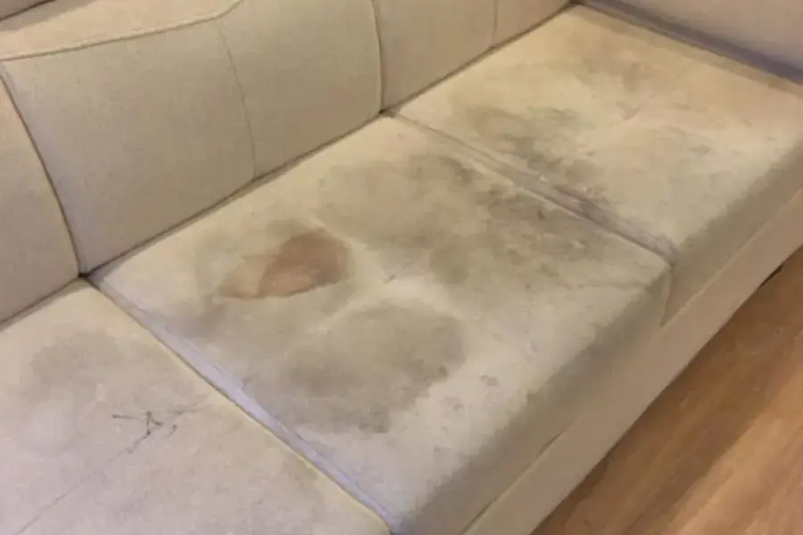 Mùi hôi trên ghế sofa thường đến từ thức ăn và chất lỏng dư thừa 