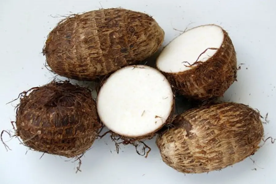 Khoai sọ là nguồn thực phẩm sạch đến từ thiên nhiên.