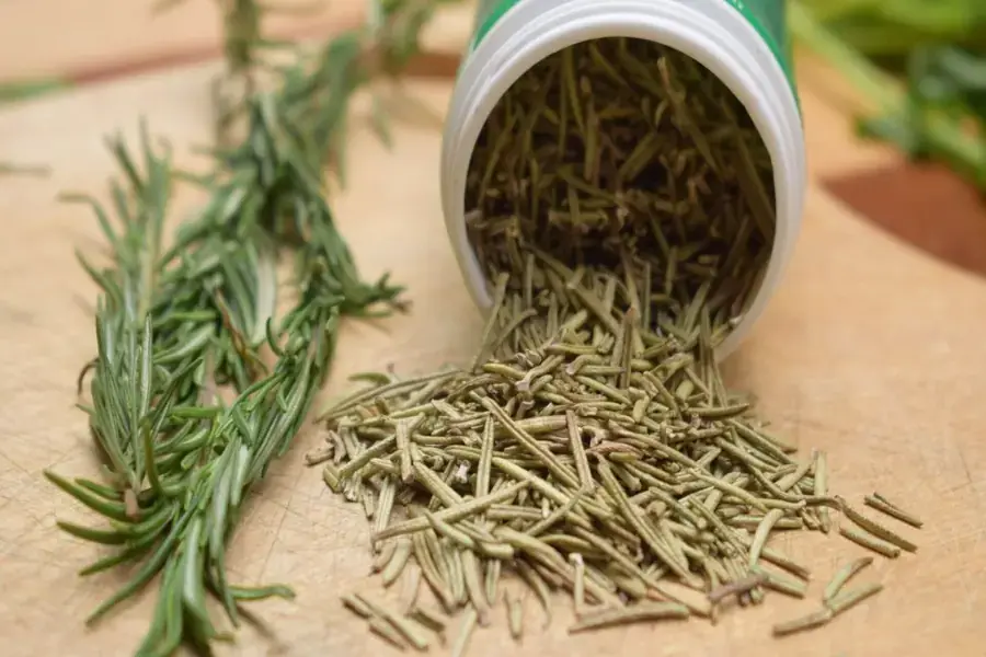 Sấy khô để bảo quản hương thảo