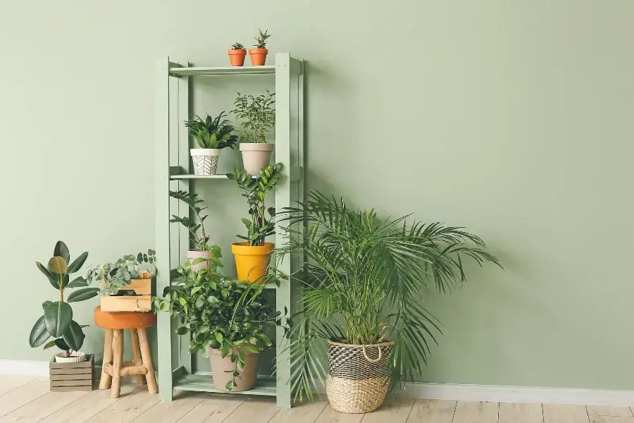 Phong cách nhiệt đới sử dụng các loại cây nhiệt đới để trang trí