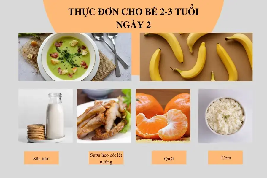 Thực đơn ngày 2 dành cho bé 2 - 3 tuổi