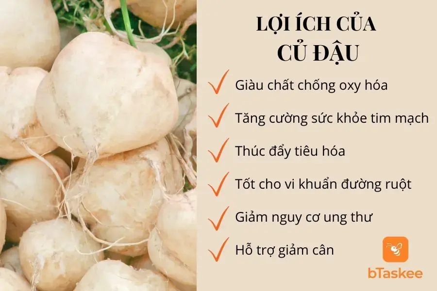 Lợi ích của củ đậu đối với sức khỏe