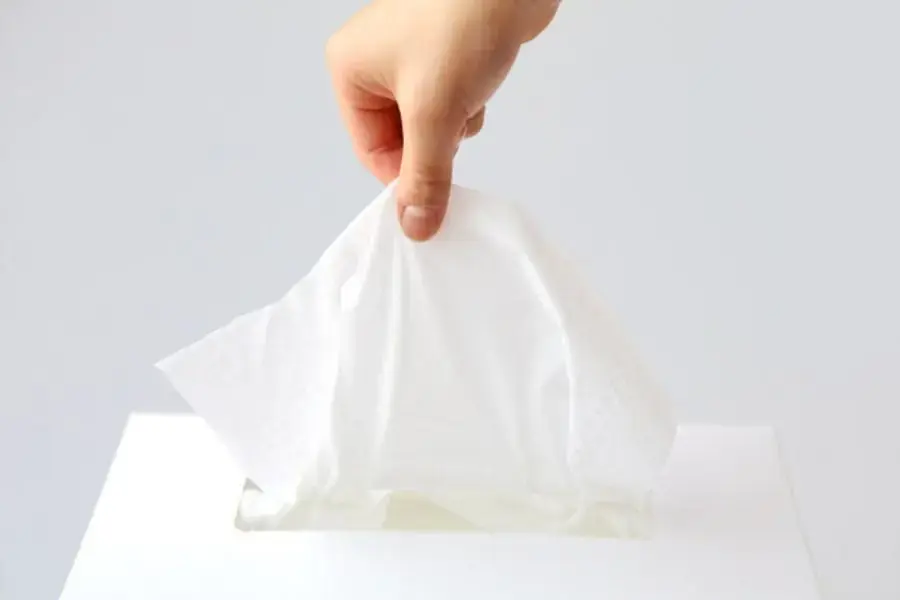 Cách làm khô nước tiểu chó trước khi xịt khử mùi