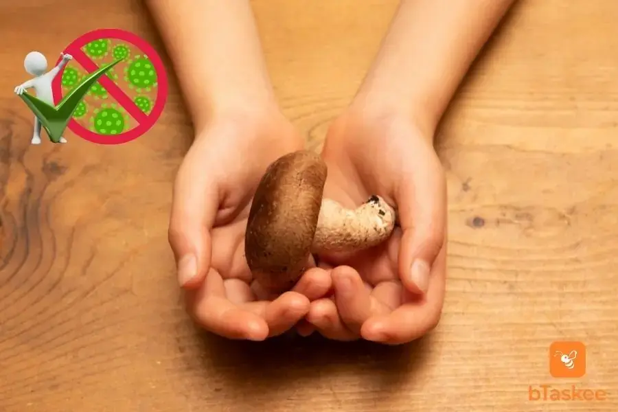 Nấm hương có tác dụng kháng khuẩn bảo vệ cơ thể