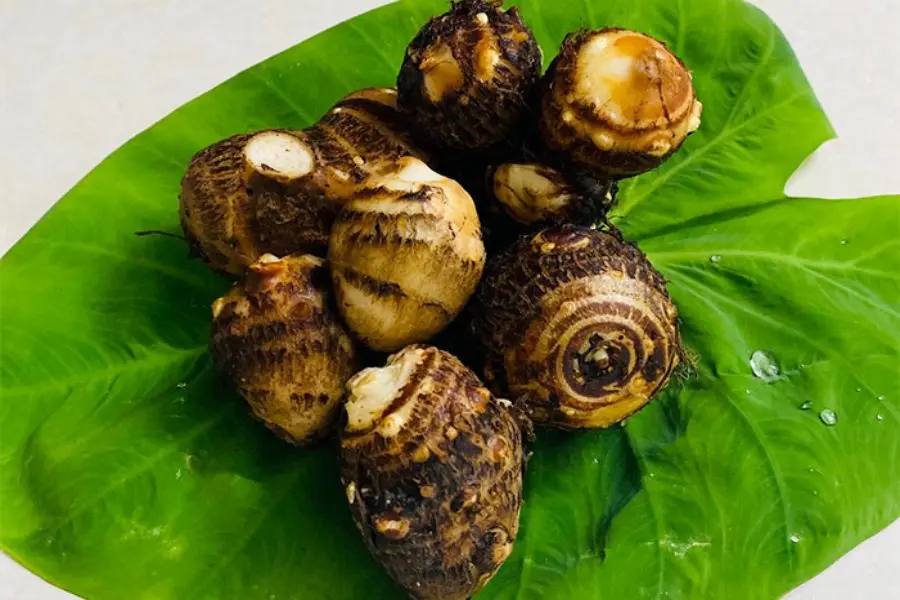 Khoai sọ có tác dụng không nhỏ đến sức khỏe con người.